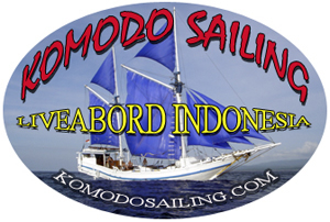 1095_logo_salon2011.jpg