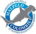 2135_logfondationmalpelo.jpg
