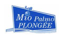 2148_logmiopalmo.png