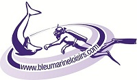 2215_logo_bleu_marine.jpg