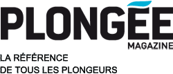 2353_logplongeemag.png