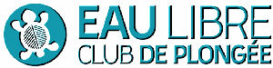 2497_logo_300pxl_salon_2012.jpg