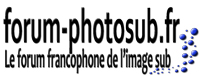 2592_logo-forum-long_modifie-1.jpg