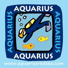 2615_logaquarius.png