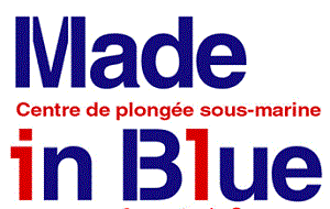 2652_logmadeinblue.gif