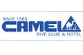 2656_logcameldive.png