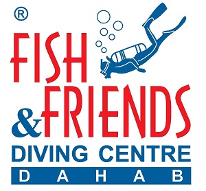 2933_logo_2010_-_copy.jpg