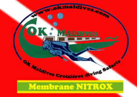 2978_logo_20120.jpg