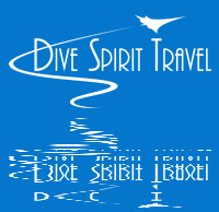 31_logdivespirittravel.gif