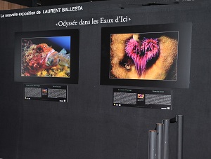 3302_expo_ballesta.jpg