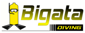 442_logo_bigata.png