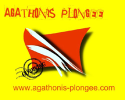 517_logagatonis.jpg