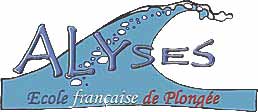 619_logoalyses3.jpg