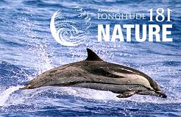 693_loglongitudenature.jpg