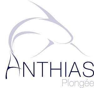 ANTHIAS PLONGEE