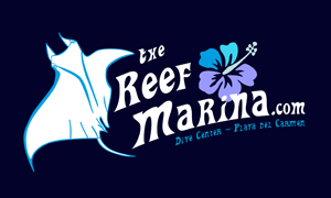 THE REEF MARINA