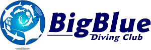 BIG BLUE DIVING CLUB