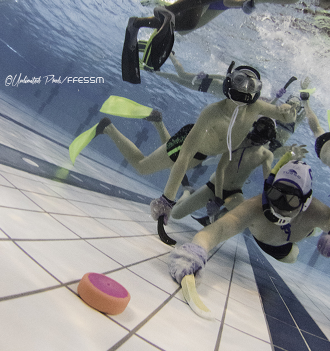 Immersion dans le parcours au plus niveau de nos champions internationaux de nage avec palmes, d’apnée et de hockey subaquatique 