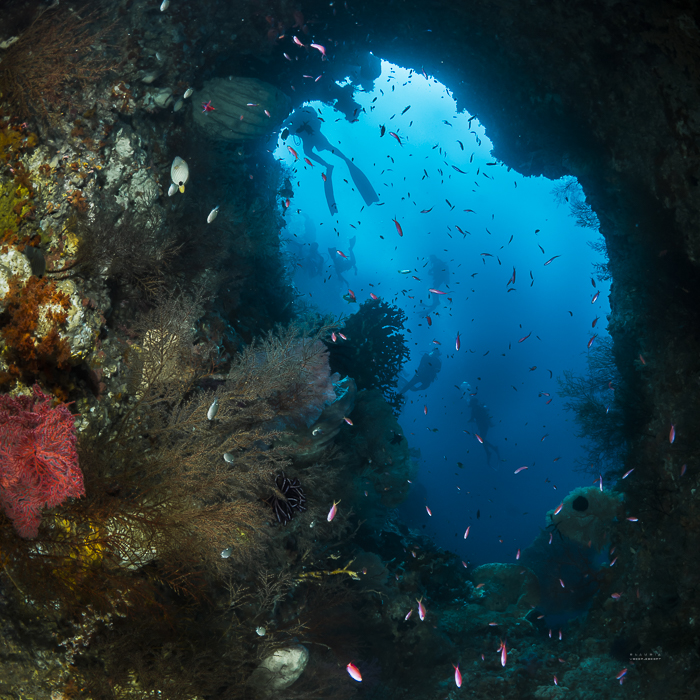 BANDA SEA ET LES ÎLES OUBLIEES  - INDONÉSIE
