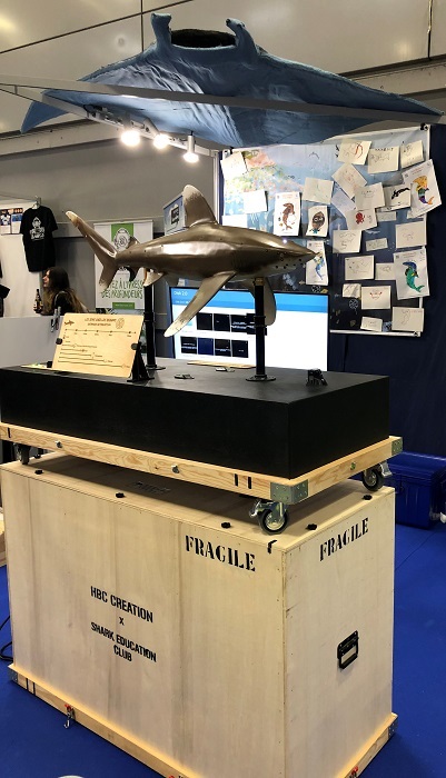 HUBERT LE REQUIN INTERACTIF