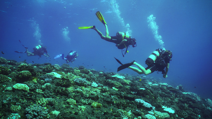 A la découverte de l'Ile de la Réunion