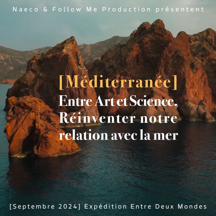 [MEDITERRANEE] À LA CROISEE DES MONDES : ENTRE ART ET SCIENCE, REINVENTER NOTRE RELATION AVEC LA MER