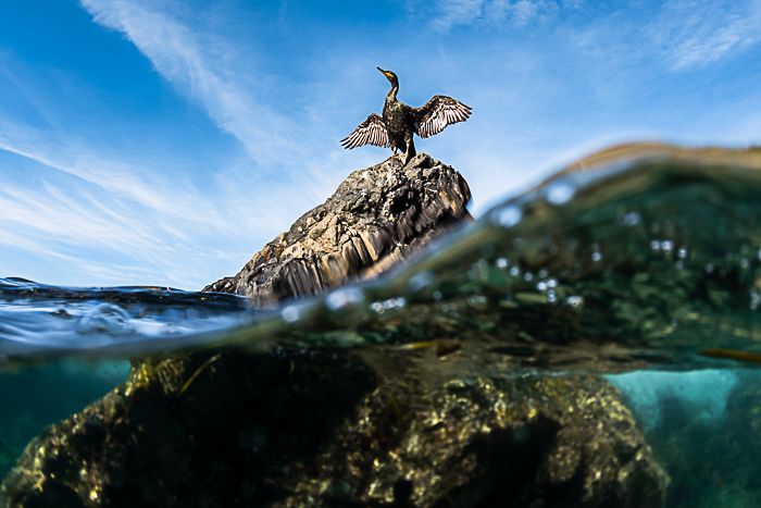 WE ARE MEDITERRANEE : PRESENTATION DU PROJET EXPEDITION PELAGOS