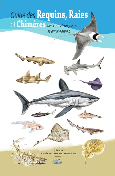 GUIDE DES REQUINS, RAIES ET CHIMERES DES COTES FRANÇAISES ET EUROPEENNES