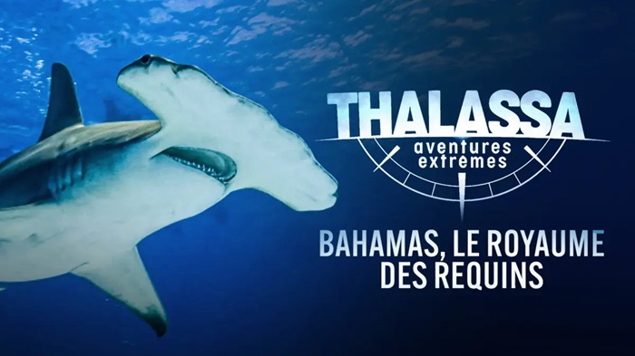 DIEGO BUÑUEL A LA RENCONTRE DES REQUINS DES BAHAMAS