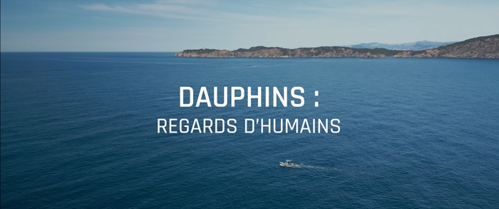 DAUPHINS : REGARDS D’HUMAINS