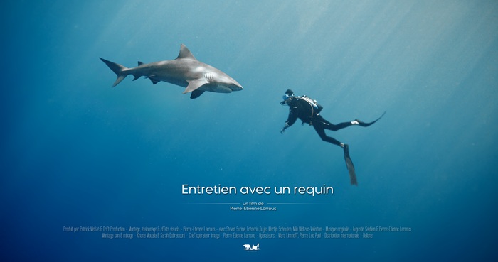 ENTRETIEN AVEC UN REQUIN