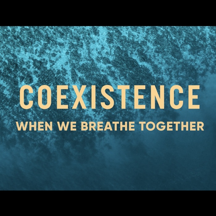 PLUS QU’UN SPORT, QUAND L’APNEE DEVIENT UN OUTIL POUR MIEUX PROTEGER L’OCEAN