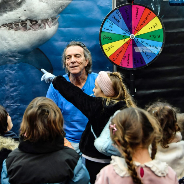 LA ROUE DES REQUINS
