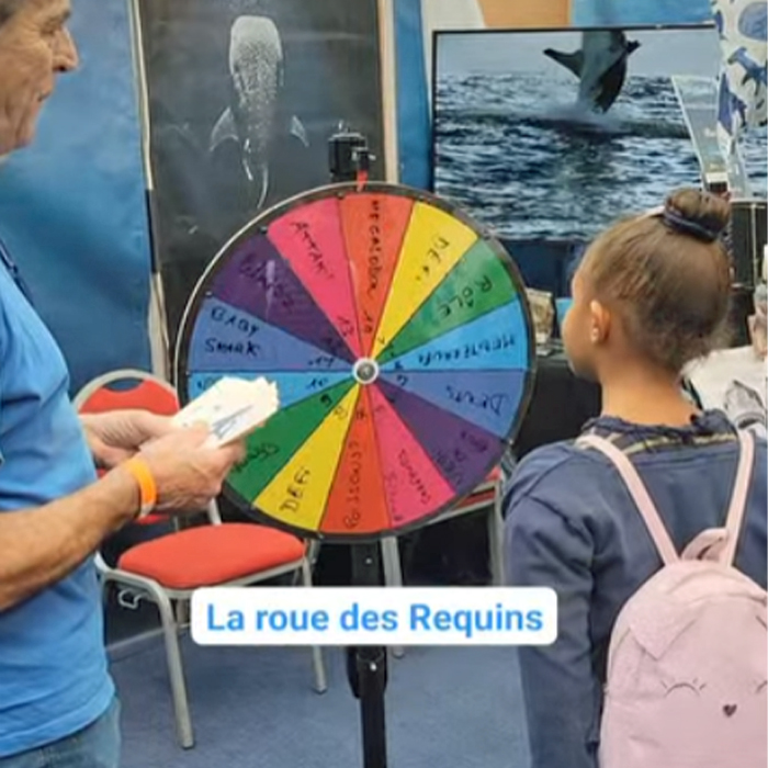 LA ROUE DES REQUINS