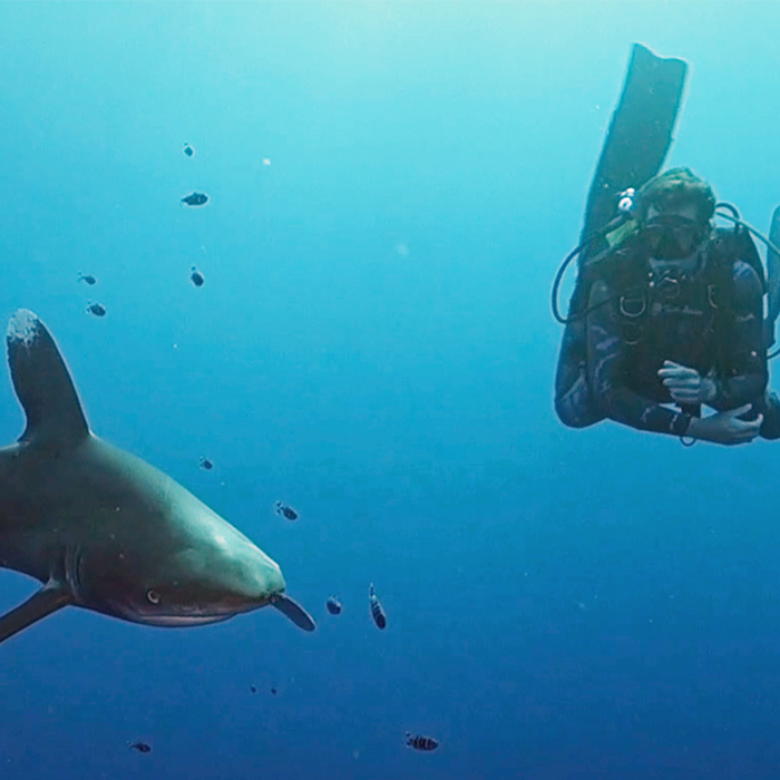 SEANCES DE DEDICACES AVEC STEVEN SURINA