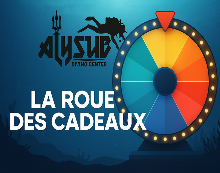 Roue des cadeaux