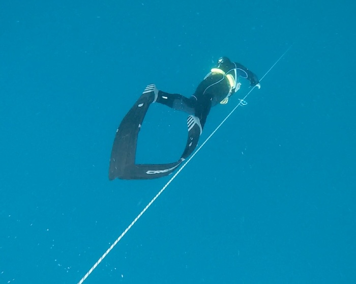 Découverte de l'apnée