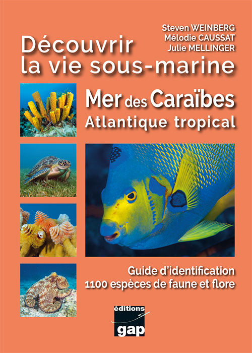 Steven Weinberg en dédicace sur le stand Gap Librairie