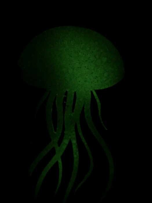 ESPACE BIOLUMINESCENCE