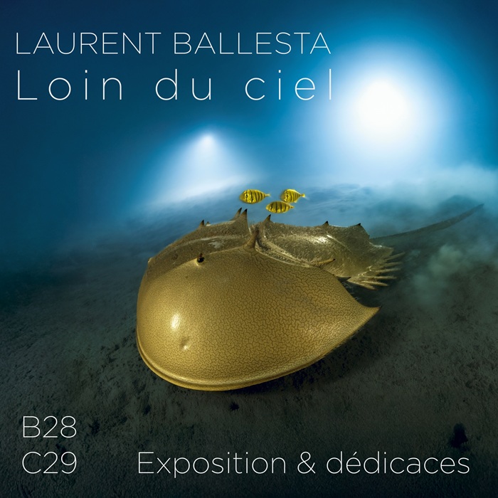 LOIN DU CIEL - EXPOSITION 