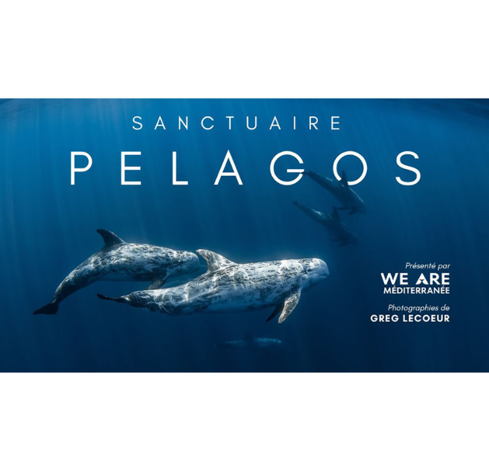 Greg LECOEUR dédicace stand I 04