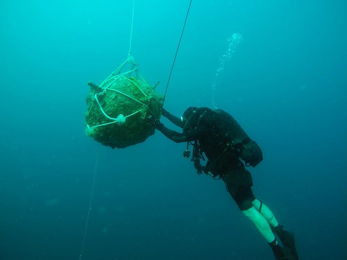 Baptême de plongée avec les matériels de la MARINE NATIONALE