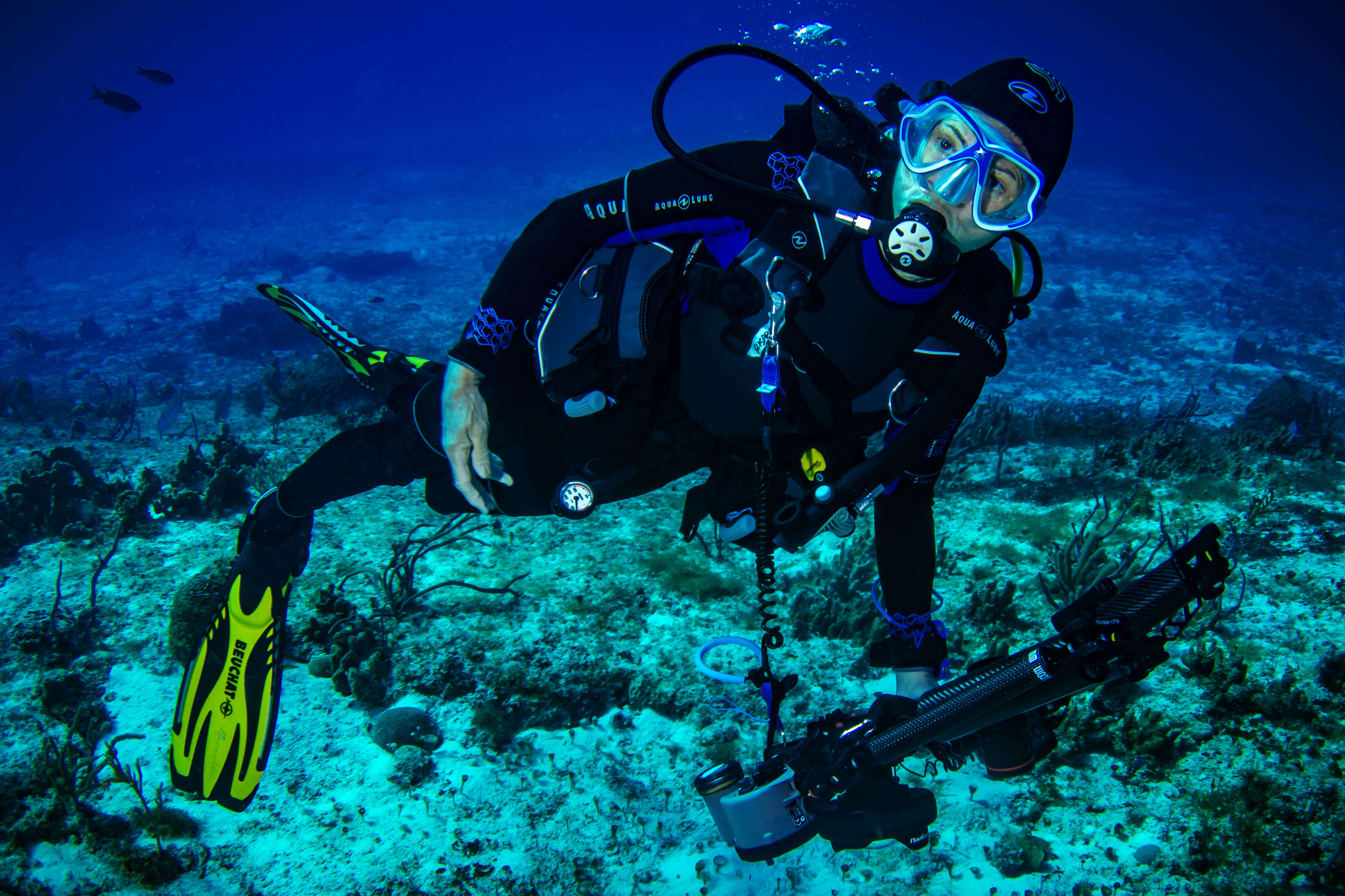 Les meilleurs modèles de palmes de plongée en janvier 2024