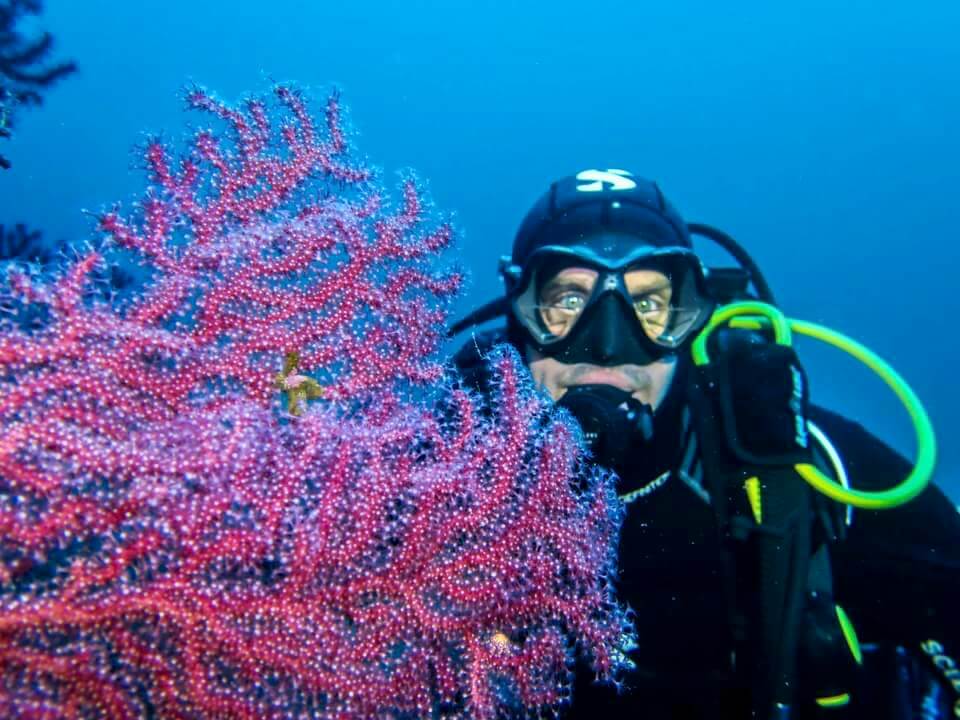 Les meilleurs modèles de palmes de plongée en janvier 2024