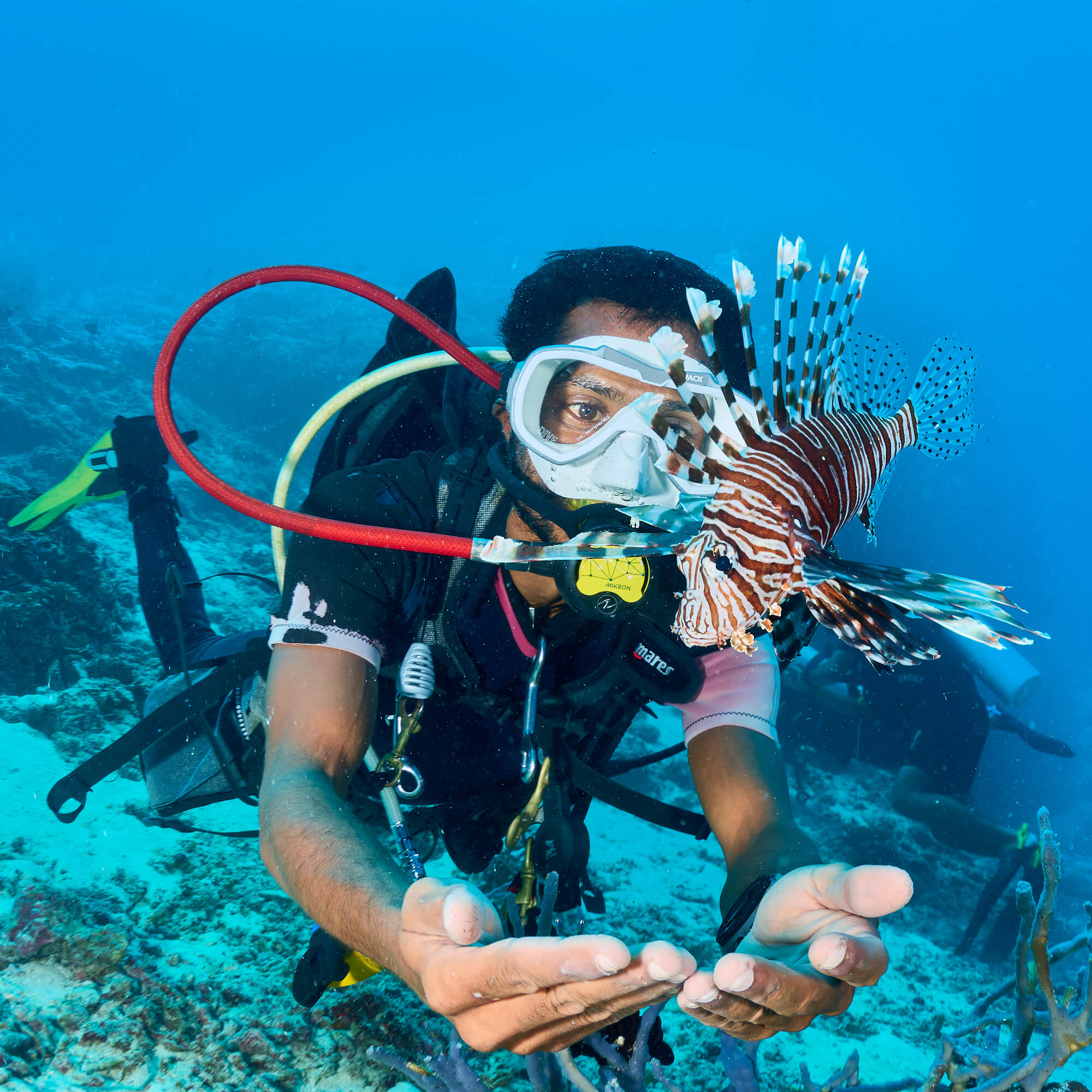 The diver and the lionfish