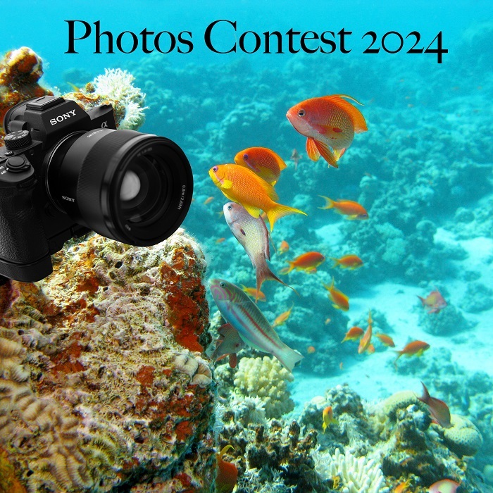 Warm waters - Tropical waters