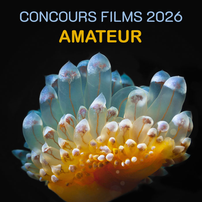 LA PRISE DE VUE EN MACRO - CATEGORIE AMATEUR