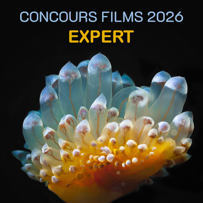 LA PRISE DE VUE EN MACRO - CATEGORIE EXPERT
