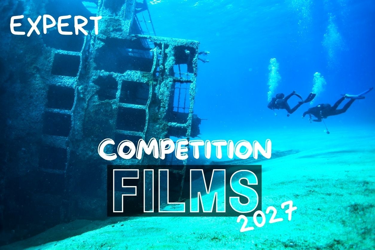 WRECKS – EXPERT CATEGORY
