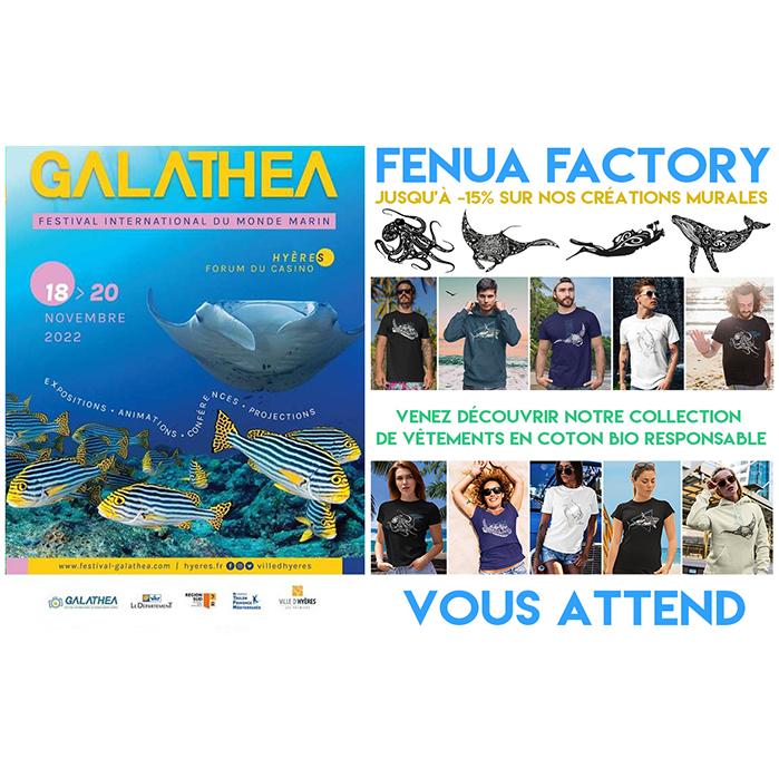Nous vous attendons au Festival GALATHEA à Hyères du 18 au 20 novembre 2022  